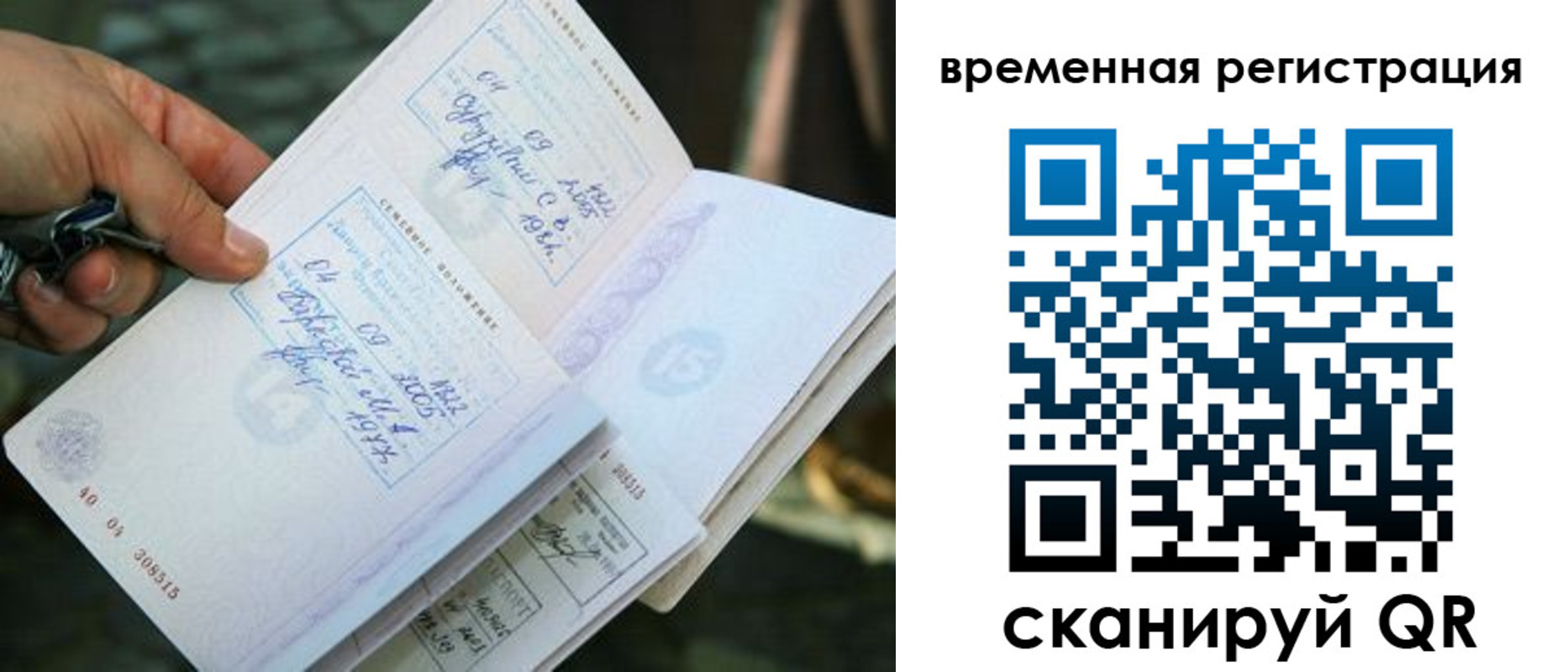 прописка для школы в Ивантеевке